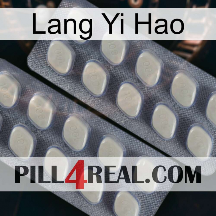 Lang Yi Hao 07